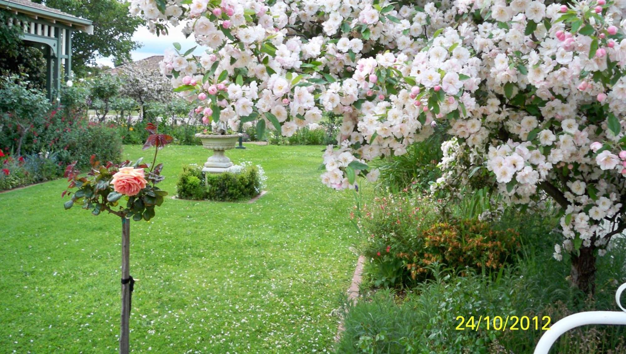 Dalfruin B&B Bairnsdale Esterno foto