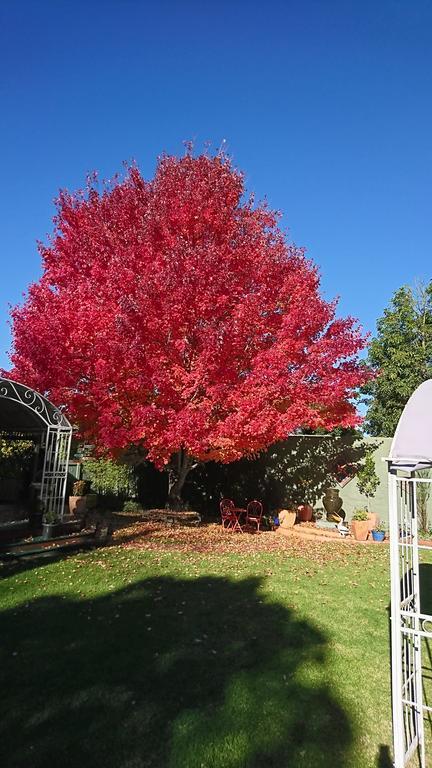 Dalfruin B&B Bairnsdale Esterno foto